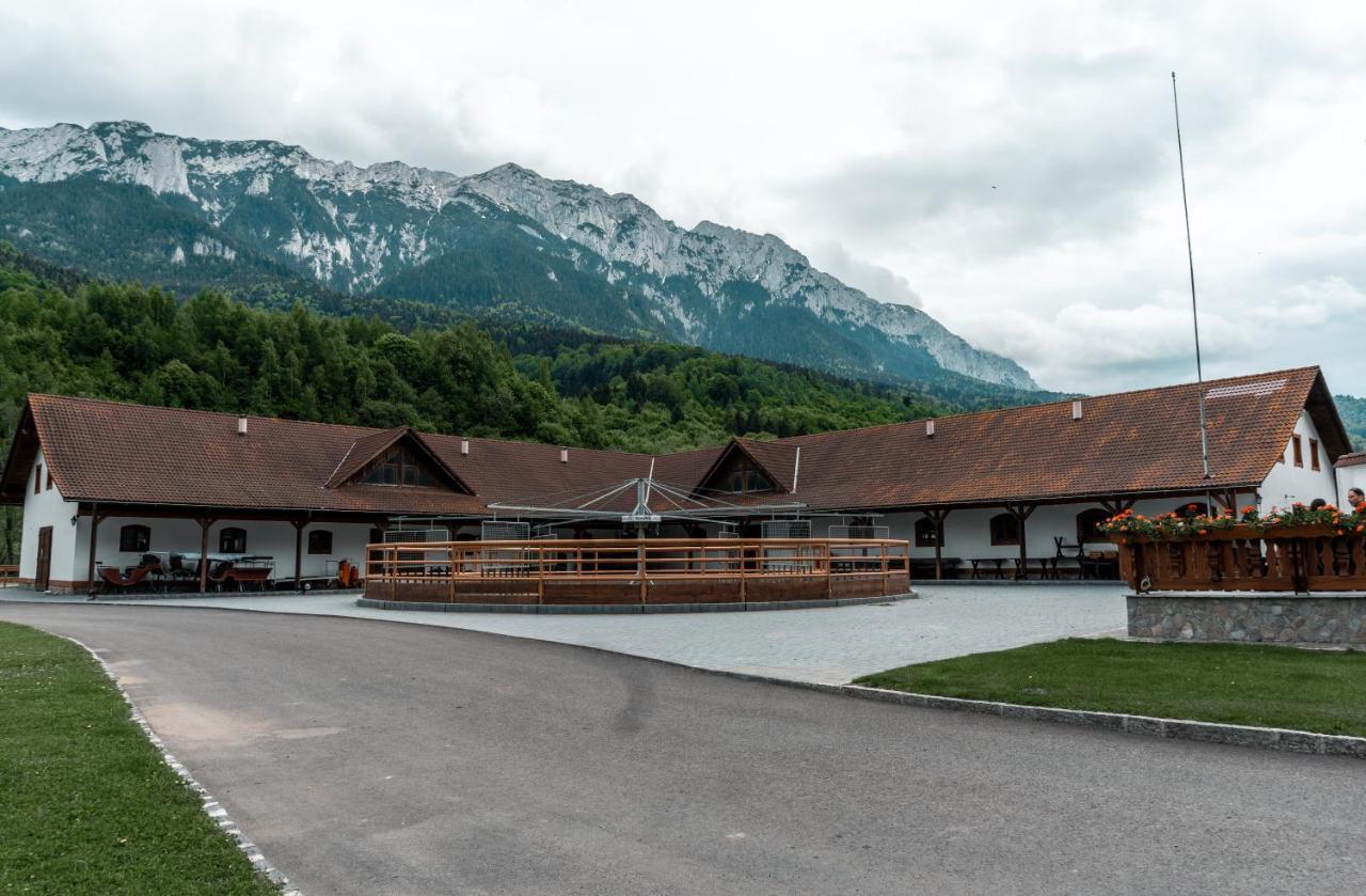 Popasul Craiului Villa Zărneşti Bagian luar foto