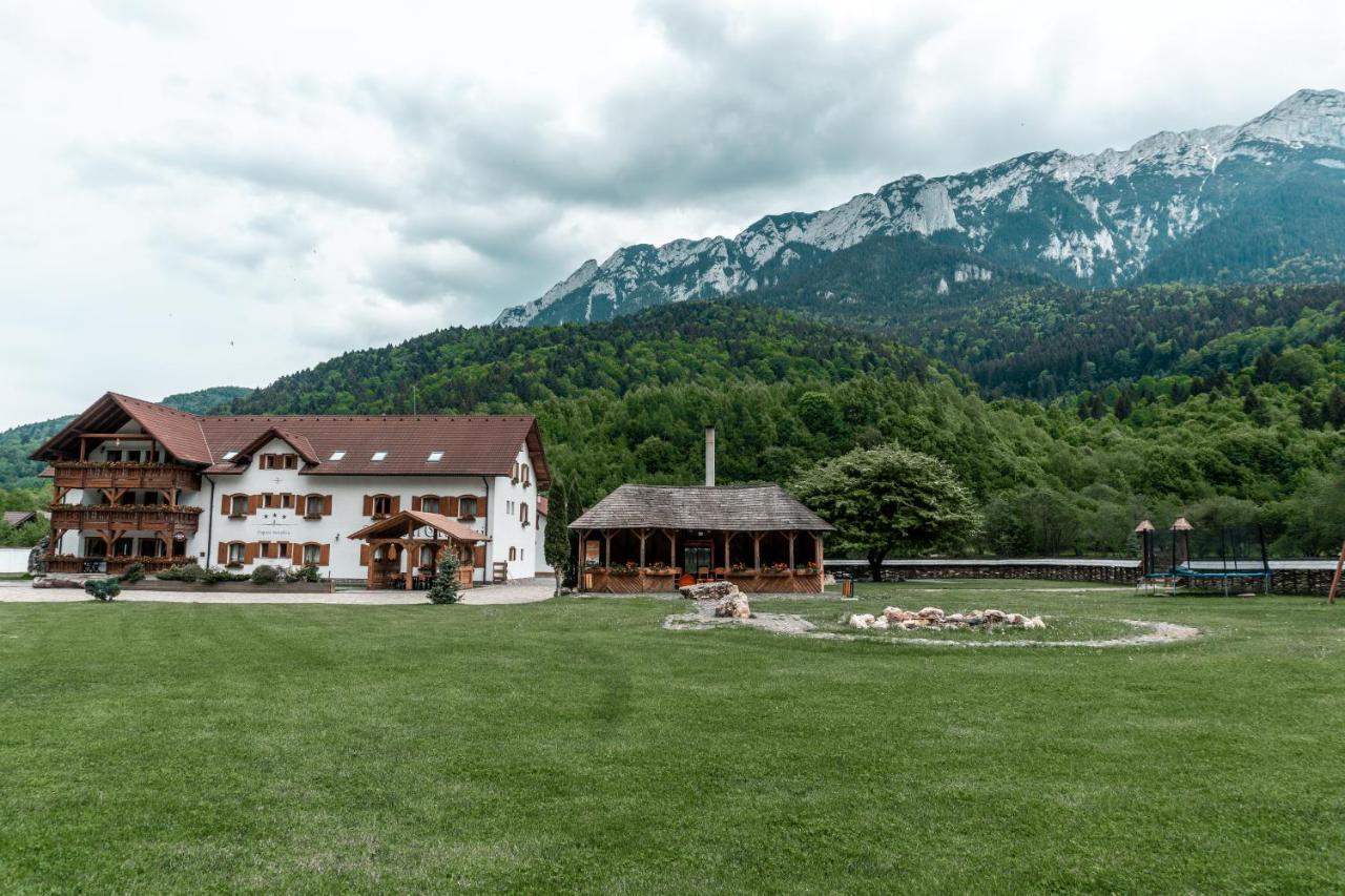 Popasul Craiului Villa Zărneşti Bagian luar foto