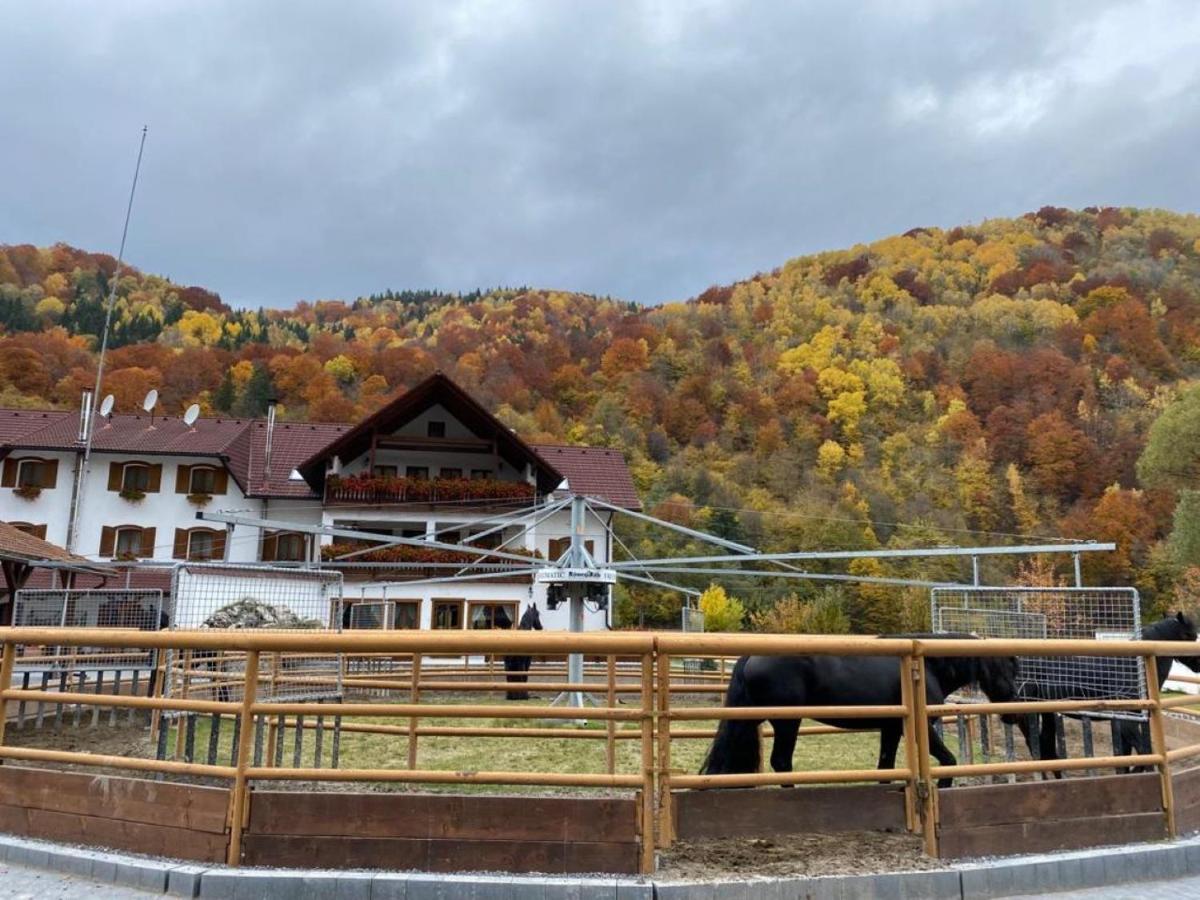 Popasul Craiului Villa Zărneşti Bagian luar foto